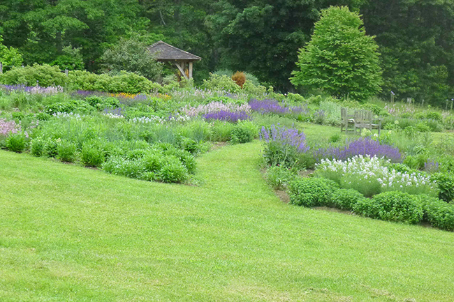 Digging Deeper: The Making of a Meadow Garden